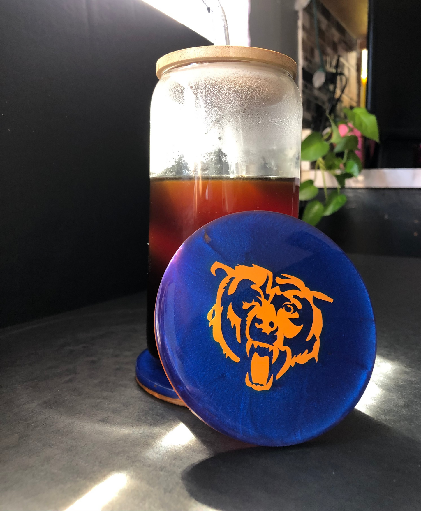Bears Coasters - Set of 4