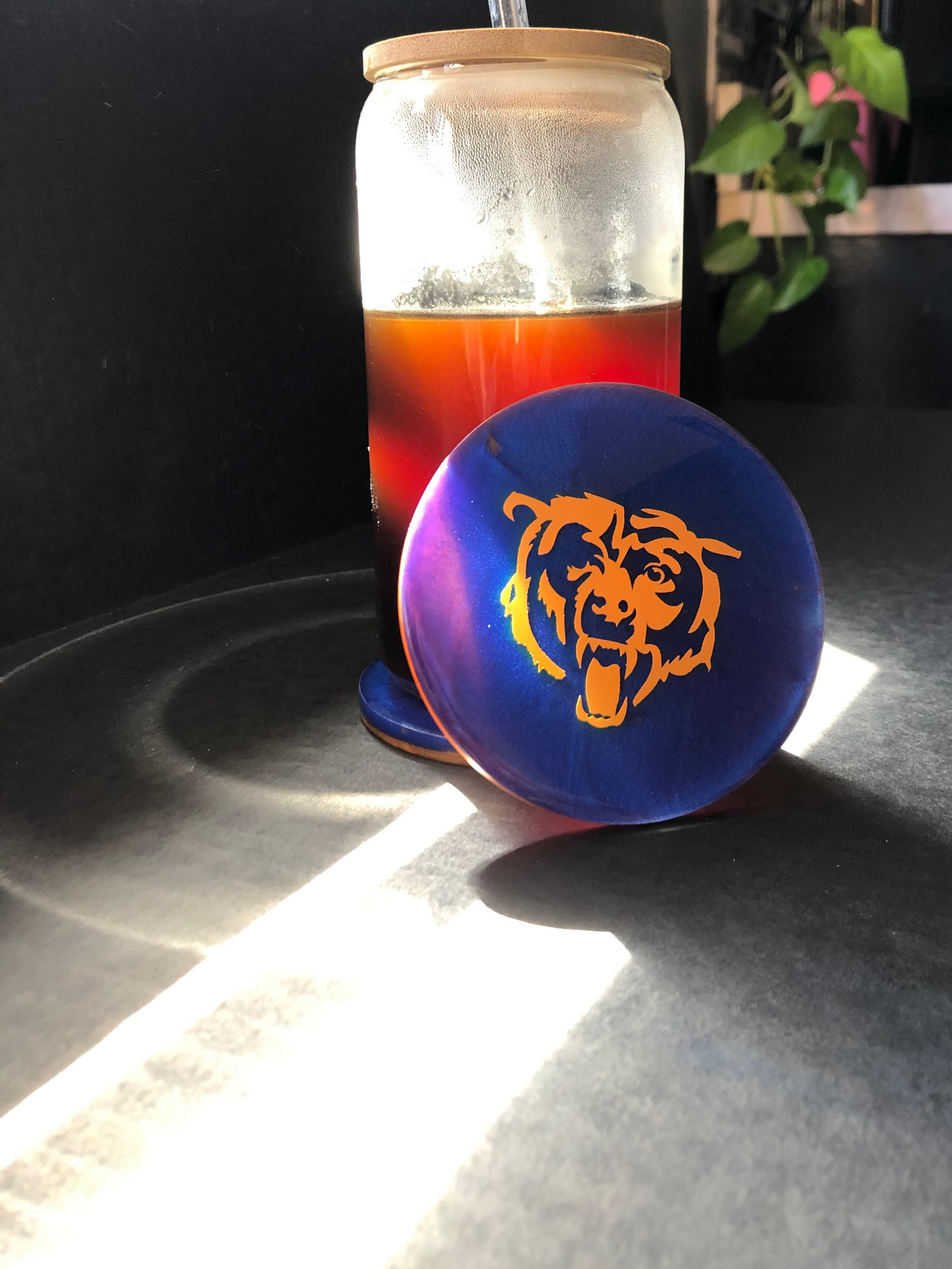 Bears Coasters - Set of 4